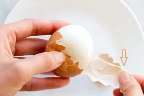 Cấu tạo trứng gà gồm những gì? Các công dụng của trứng gà?