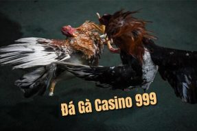 Đá gà Casino 999 – Cách đăng ký đá gà casino trường 999