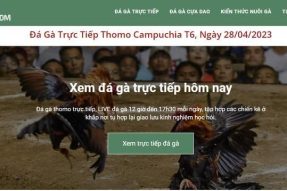 Daga360 – Cập nhật link theo dõi đá gà trực tiếp miễn phí uy tín 