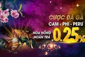 Cách mở tài khoản tại S128 không bị lỗi 