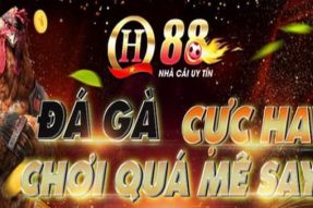 Cách tham gia đá gà QH88 và kinh nghiệm chơi hiệu quả nhất