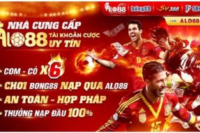 Review đại lý Alo88 – Cơ hội nhận mức thu nhập thụ động khủng