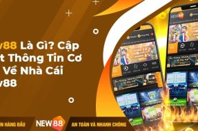 Đánh Giá Tổng Quan Về Nhà Cái NEW88 Từ A – Z