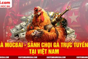 Đá Gà Mocbai – Sảnh Chọi Gà Trực Tuyến Số 1 Tại Việt Nam