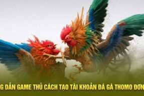 Hướng Dẫn Đăng Ký Tài Khoản Đá Gà Thomo Dễ Hiểu, Đơn Giản