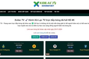 Xoilac TV – Kênh trực tiếp bóng đá hàng đầu miễn phí