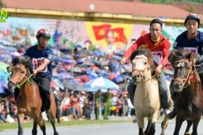 Đua ngựa ở Việt Nam và tìm hiểu lịch sử Giải đua ngựa truyền thống