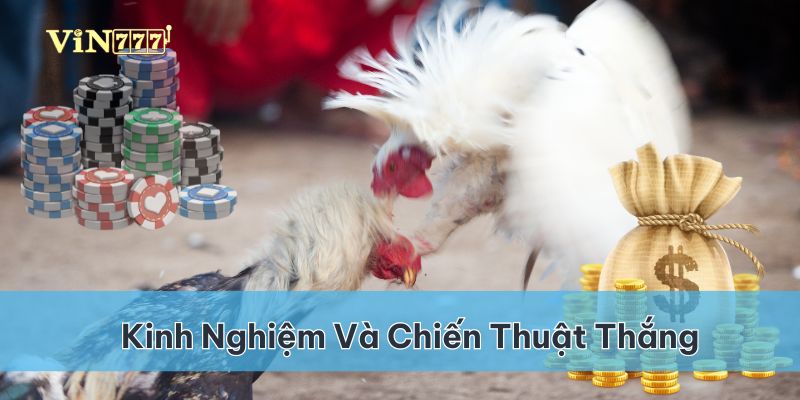 Tích lũy kinh nghiệm với chiến thuật hợp lý giúp thắng lợi dễ dàng