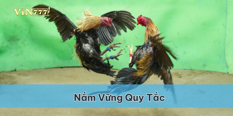 Nắm vững những quy tắc giúp bạn tự tin tham gia