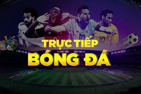 Colatv.io – Không gian truc tiep bong da đa dạng và phong phú