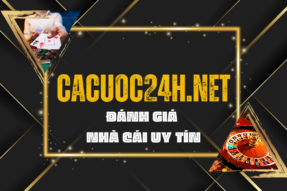 Cá Cược 24h – Đánh giá nhà cái uy tín hàng đầu