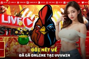 Cách Đăng Ký Đá Gà Online Đơn Giản Cho Người Mới Tại VVVWIN